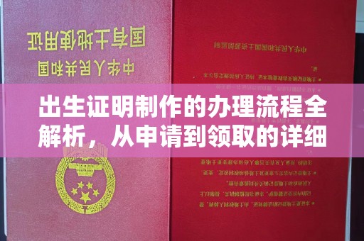 源城出生证明制作的办理流程全解析，从申请到领取的详细指南